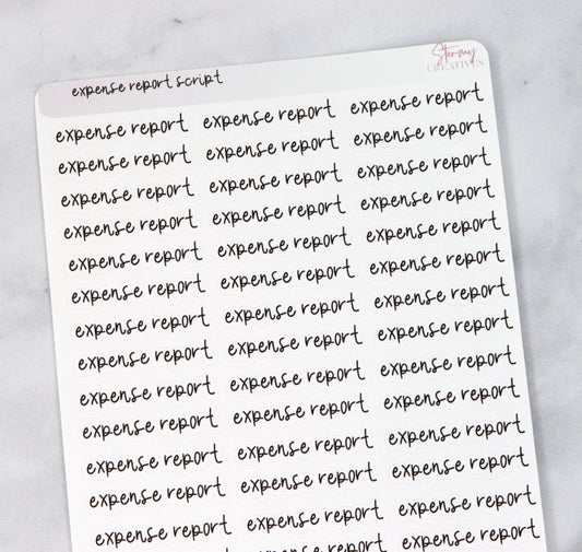 Expense Report Script